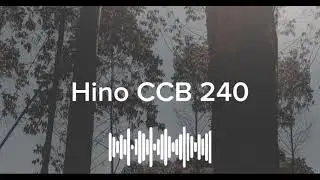 Hino CCB 240 - Flauta transversal 
