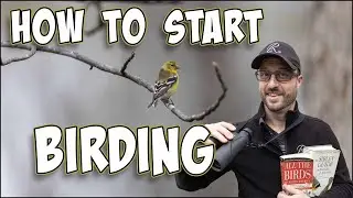 How to start Birding in 2025!