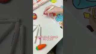 Don't you want acrylic markers that don't bleed through? #acrylicmarkers #drawing #diy #stationery
