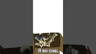 Что мне сниться ночью? #фигурки #schleich #bullyland #собаки #фигуркишляйх #шляйх #фигурка маламут