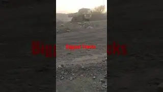 Biggest Trucks || CCL Mines #viral #shorts  #2023status
