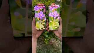 Realme 12 plus vs Vivo Y200 pro Camera Test #shorts