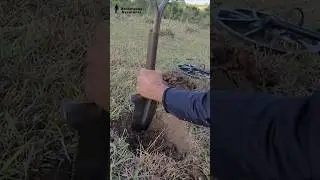 Descobrimos Objetos Antigos e Tesouros Raros Neste Vale (Voc&ecirc; Precisa Ver Isso!)
