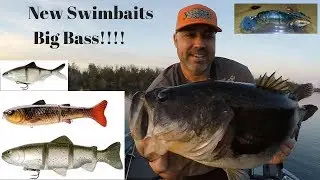 New Swimbaits-Baitsanity Explorer Glide Carp, Castaic Catch 22, Phoney Frogs