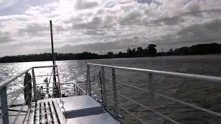 Nationaal Park De Biesbosch