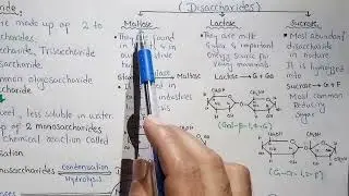 Oligosaccharides | Disaccharide | Maltose, Lactose And Sucrose In Urdu Hindi