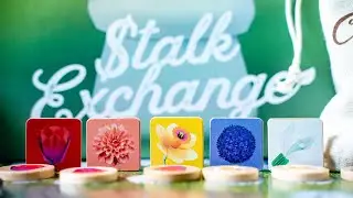 Stalk Exchange | Trailer