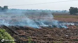 The Harmful Effects of Burning Agricultural Land