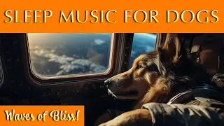 Music for Dogs to Sleep To 🐶 Gentle Ambience to Help Your Canine Snooze