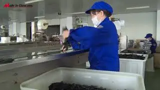 Taizhou Jinxin Industry & Trade Co , Ltd--china Plastic Cutlery, Plastic Cup supplier