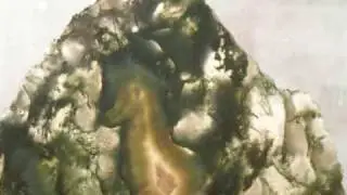 Mimetolith or Picture Stone!