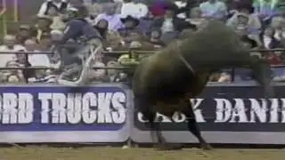 Hotel California bucks Corey Navarre - 04 PBR St. Louis