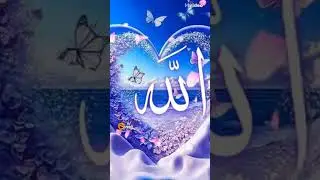 17 June 2025