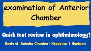 Anterior chamber of eye | Anterior segment examination | Anterior chamber angle @OptometryFans