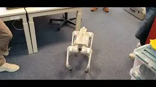 Robothond