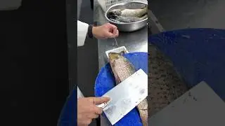 Fresh Fish Cutting Skills #FishCutting #FilletingSkills #KnifeWork #FreshFish #CookingDemo