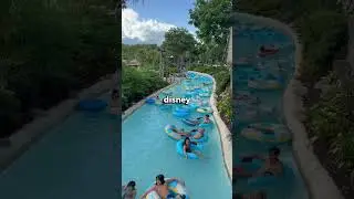 Nunca tome agua dos brinquedo da Disneylândia!