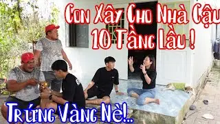 Lí Do Nhà Thuỳ CàLem Có Nhiều Vàng Là Do Có Gà Đẻ Trứng Vàng