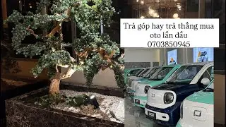 Mua xe oto lần đầu nên trả góp hay trả thẳng| Cùng em Hưng tìm hiểu nhé 