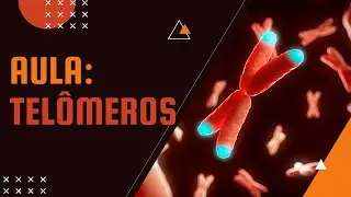 Aula | Telômeros