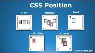 11.  CSS positions