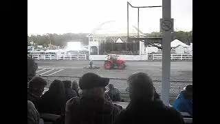 Brome Fair 291