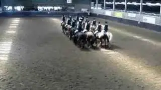 Dressuurgala Carrousel Demonstratie 2