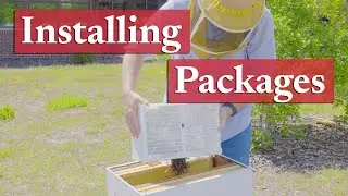 Installing Honey Bee Packages | Beekeeping Academy | Ep. 41