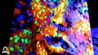 TekNoize 5 years : 31.10.2012 - Aftermovie by ElectroBlog.be