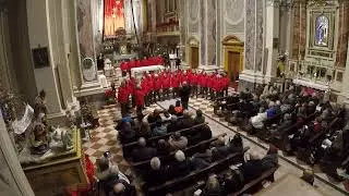 AVE MARIA ( Angelus Domini )  FRANZ BIEBL