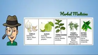 Module 4- Grade 10 Health: Complementary and Alternative Medicine/Herbal Medicine/ Republic Act TAMA