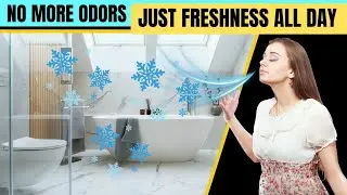 7 Genius Ways to Keep Your Bathroom Smelling Fresh ALL Day 🕒✨