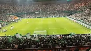 Betis - Mallorca en La Cartuja 