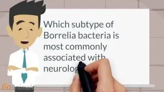 Subtype of Borrelia  with neurologic disease