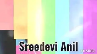 Sreedevi Anil 20 years of acting in film industry