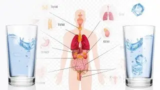Hot vs Cold: Benefits of Drinking Hot Water vs Cold Water