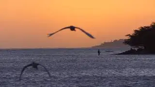 Beautiful Hawaiian Sunset with Green Flash