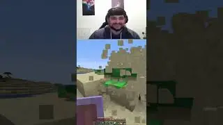 Turtle just refusing to lay its eggs - Minecraft shorts