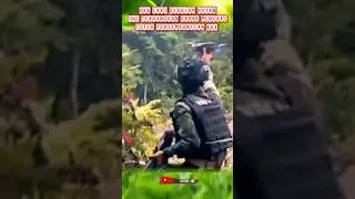 TNI terbangkan drone kejar kkb #abdinegara #shortvideo #tniad #bravo #raider #sniper #intel