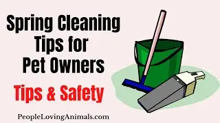 Spring Cleaning Tips for Pet Owners | Pet Safe Cleaning Products #springcleaning #springcleaningtips