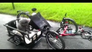 ICE Sprint 26 with side car