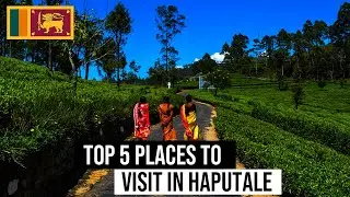 Top 5 places to visit in Haputale | Sunnysl Travels