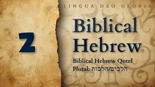 Biblical Hebrew Qotel (Present Tense) - Plural: הֹלְכִים/הֹלְכוֹת