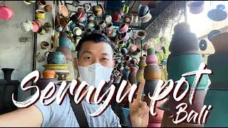 Serayu pot - a legendary pot store/workshop in Bali (with some plant tour!)