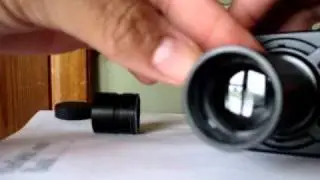 My Amscope Microscope