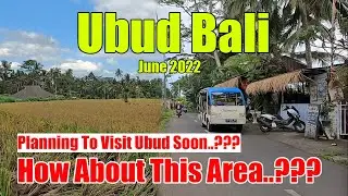 Stay In Ubud Soon.?? How About This Area.?? Jl. Tirta Tawar Ubud Bali Situation Update June 2022