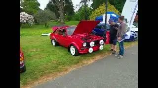 Wexford car show. 