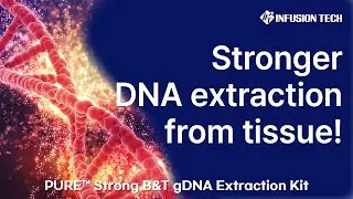 Infusion Tech │PURE&trade; Strong B&T gDNA Extraction Kit : Extract powerful DNA from tissue!