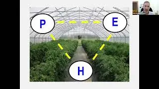 TunnelTalk &ndash; Venting Greenhouse Environments