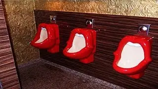 10 Weirdest Bathrooms In The World